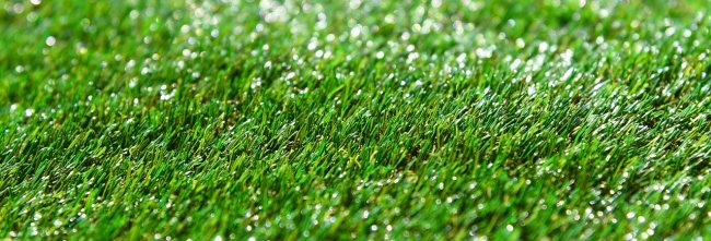 zielona trawa z rolki